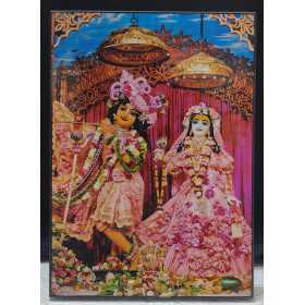 Radha Madav Chandan Yatra 5×7 inch Laminated Photo – Mayapur Store