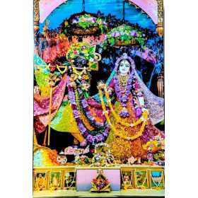 Radha Madav Multi-Color 12×18 Inch Lamination | ISKCON Mayapur Store