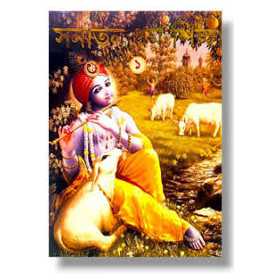 SANATAN DHARMA SHIKSHA -- PART 1